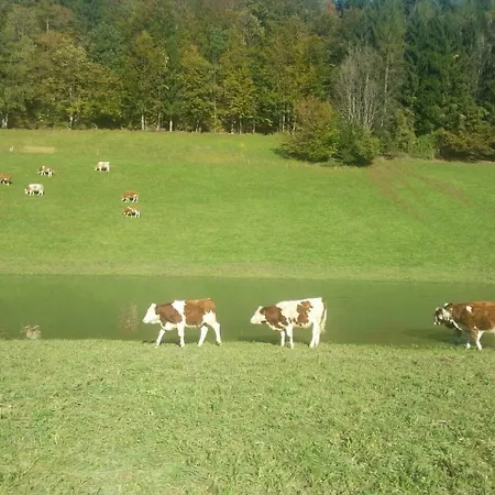 Hauslhof *