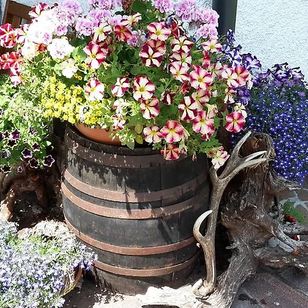 Bed & Breakfast Hauslhof
