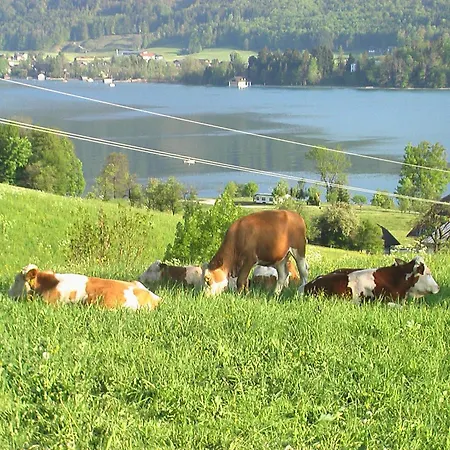Bed & Breakfast Hauslhof Sankt Wolfgang im Salzkammergut