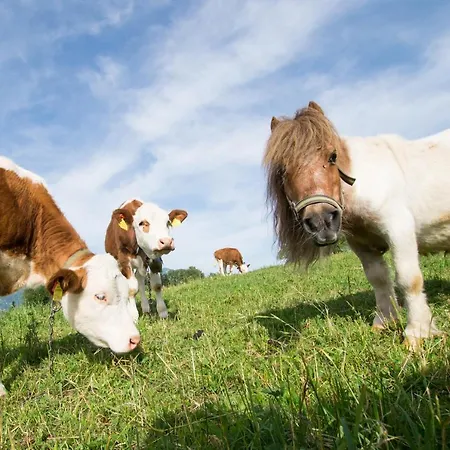 Bed & Breakfast Hauslhof