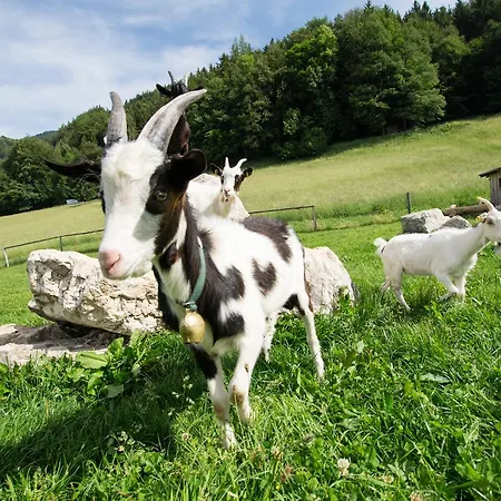 Hauslhof Sankt Wolfgang im Salzkammergut