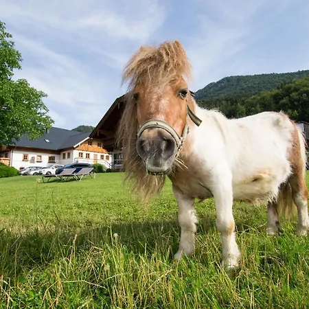 Bed & Breakfast Hauslhof *