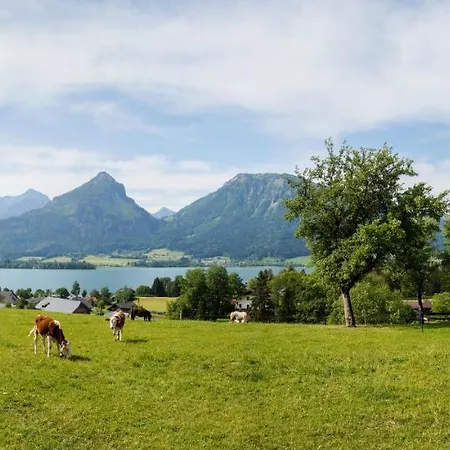 Hauslhof * Saint Wolfgang