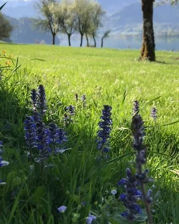 Bed & Breakfast Hauslhof