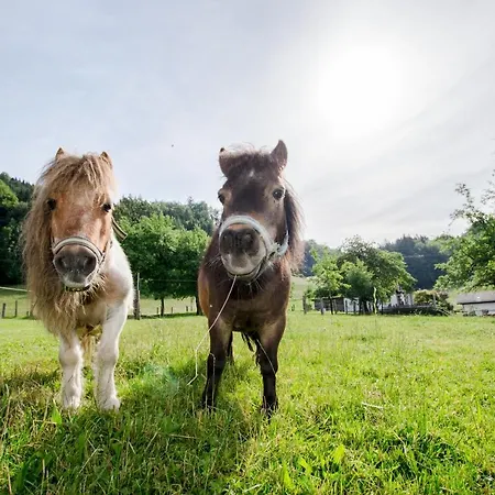 Hauslhof Saint Wolfgang