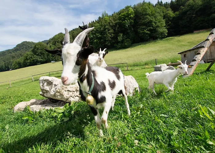 Hauslhof Sankt Wolfgang im Salzkammergut