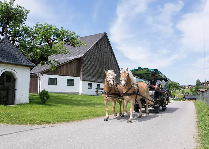 Hauslhof * Saint Wolfgang