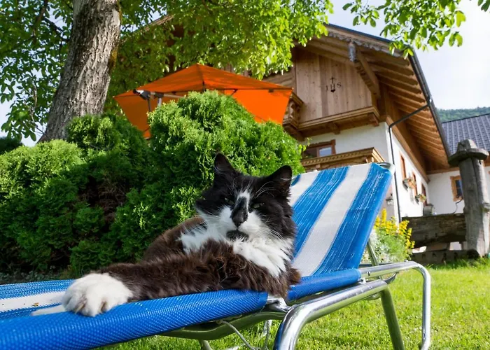 Hauslhof * Sankt Wolfgang im Salzkammergut