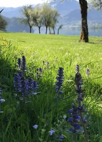 Bed and Breakfast Hauslhof