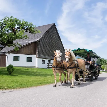 Hauslhof * Saint Wolfgang