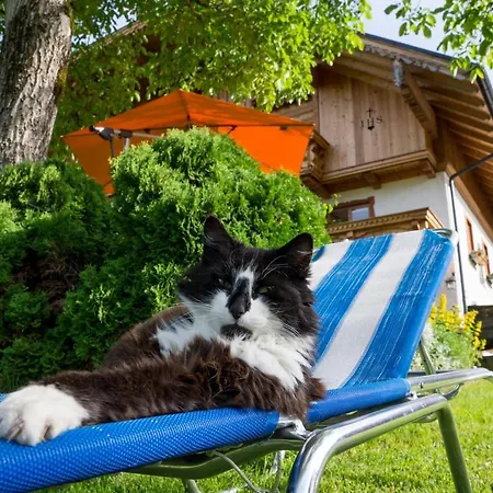 Hauslhof * Saint Wolfgang