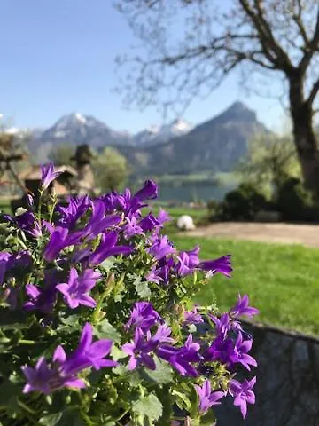 Bed & Breakfast Hauslhof