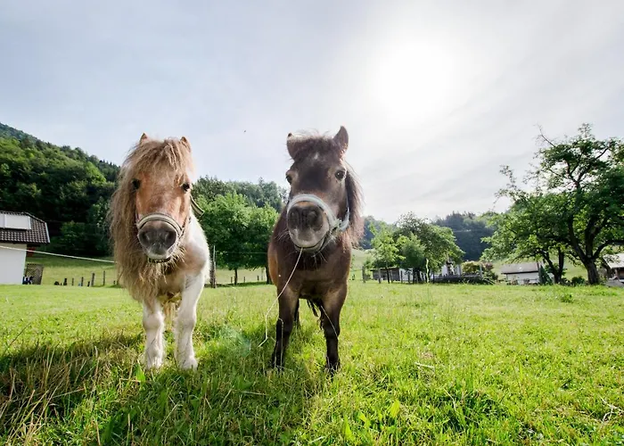 Hauslhof Saint Wolfgang